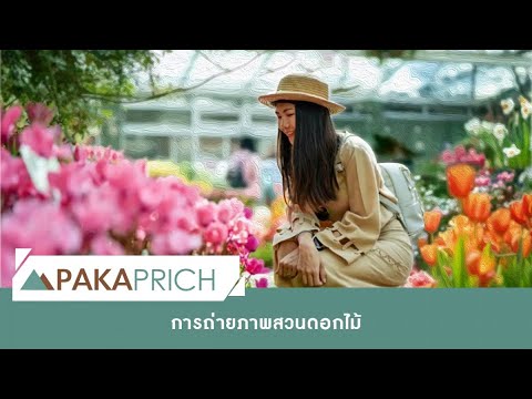 การถ่ายภาพสวนดอกไม้