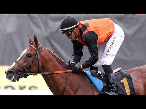 Dresden: Grosser bwin Sommerpreis (Listenrennen)