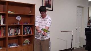 Kili Senegal Parrot - Flighted Fetch Ball