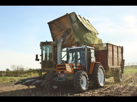 Landb. Vereecke - Tavernier - Field Queen 7655 - Renault 951-4 - Record