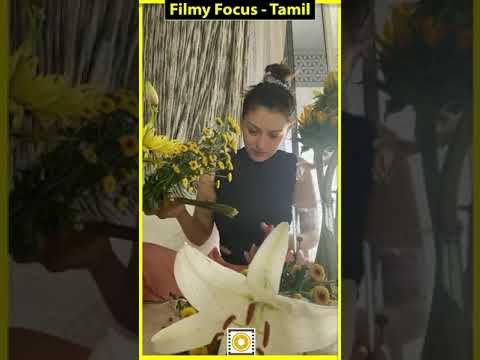 Hansika motwani cute videos | Filmy Focus - Tamil