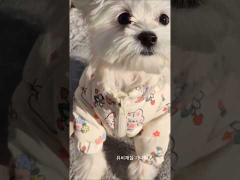 뮤비한편뚝딱 feat.아련미