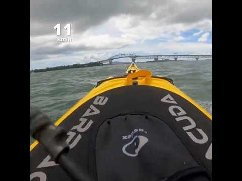 Harbour Bridge #seakayaking #seakayak #paddlers #newzealand