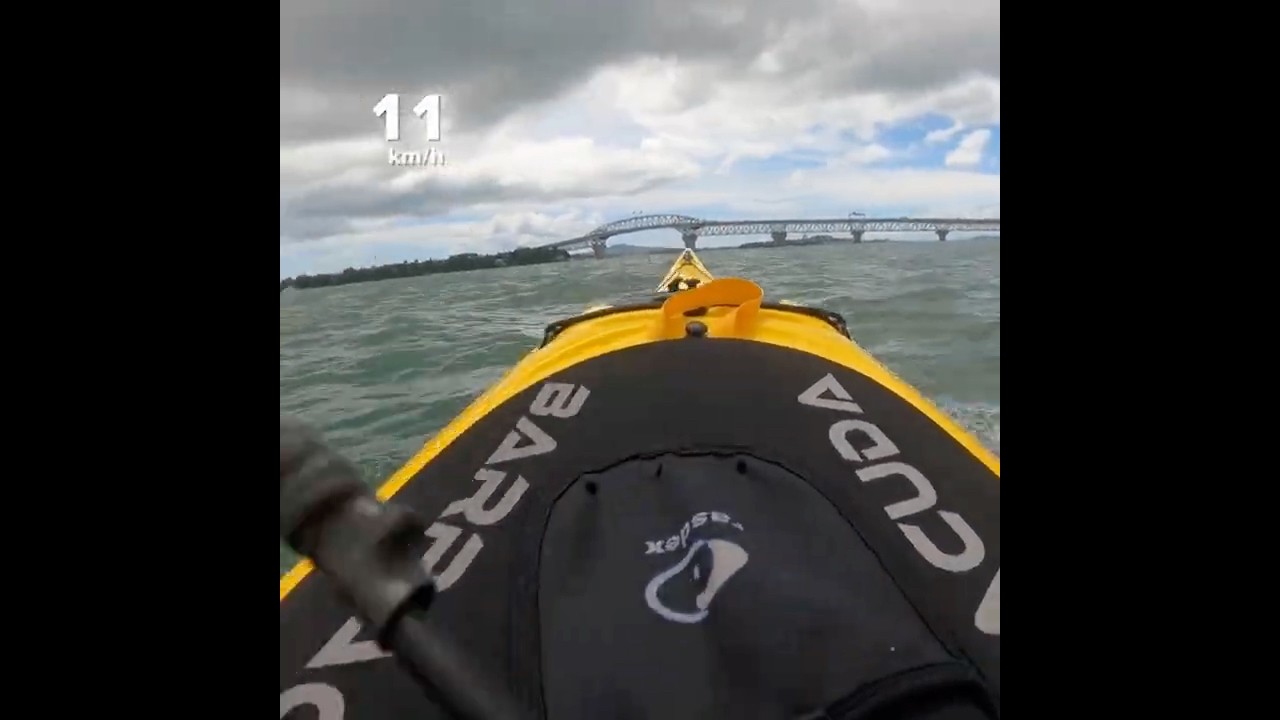 Harbour Bridge #seakayaking #seakayak #paddlers #newzealand