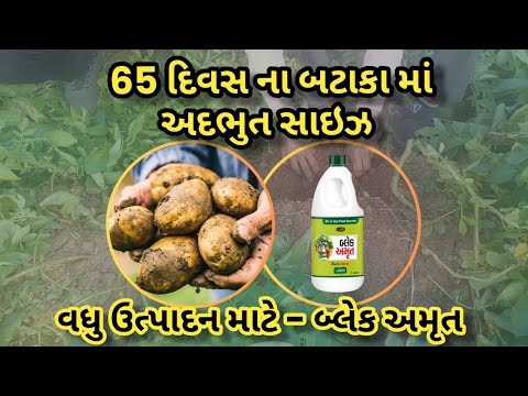 500ml Plant Growth Promoters