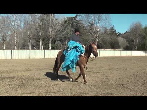 Monty Roberts Willing Partners™ OBSTACLE COURSES!