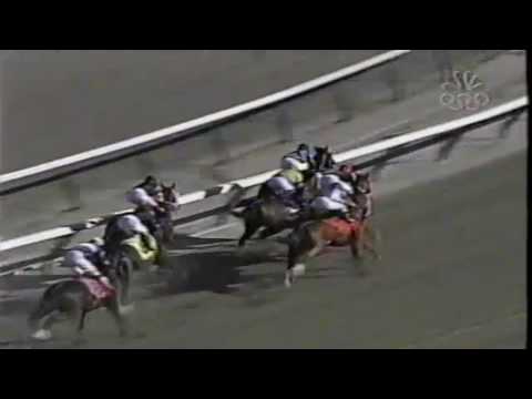 2005 Wood Memorial Stakes