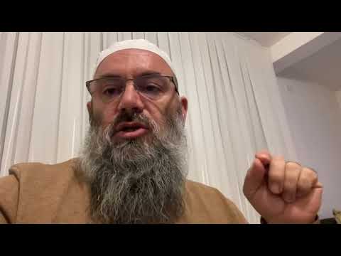 Kush e mbante me ushqim Ibën Tejmiun - Hoxhë Bekir Halimi