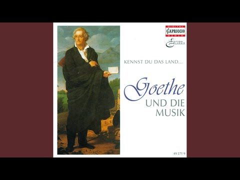 3 Balladen , Op. 44: No. 4. Der Totentanz