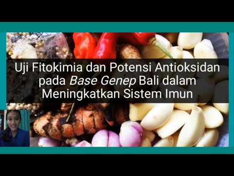 Uji Fitokimia dan Potensi Antioksidan pada Base Genep Bali dalam Meningkatkan Sistem Imun