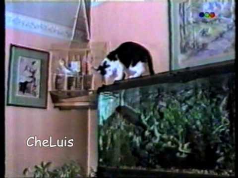 Videomatch..Bloopers ineditos 8