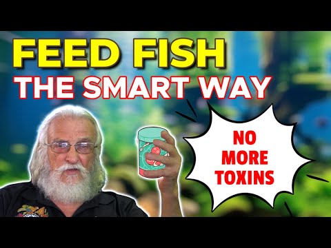 Discover The Ultimate Nutrition For Tropical Fish