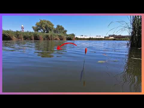 🌞 Pescuit, Natura si Aventura in Delta Dunarii - Sulina
