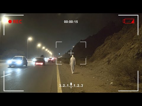 They Aren't Folklore Anymore: Real Cryptids Spotted in 2025