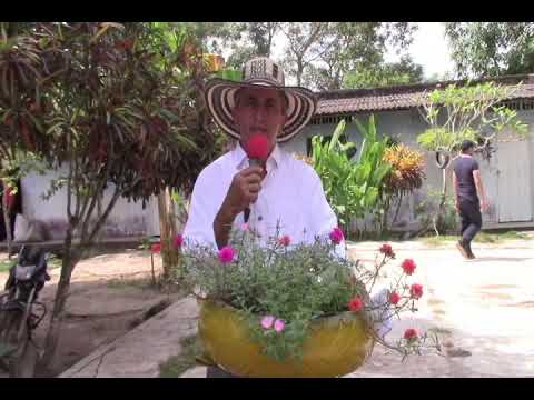 INSITUCIÓN EDUCATIVA TÉCNCIO AGROPECUARIO ANÍBAL GÁNDARA CAMPO, EL ROBLE SUCRE, COLOMBIA