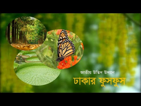ভিডিও প্রিভিউ ভিডিও