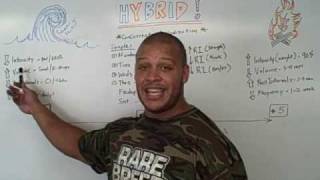 Lean Hybrid Muscle Building 2
