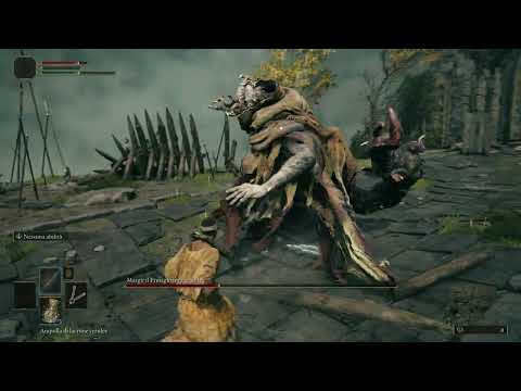 Elden Ring | Margit | Lvl 8 Prophet | No Healing