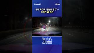 새벽 폭주족 '광란의 질주'... 추격전 끝 검거 / #채널A #shorts #뉴스A라이브