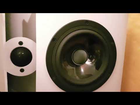 Vienna Acoustics Schönberg Webern and Subson