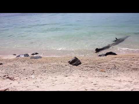 Global English Centre, Malaysia