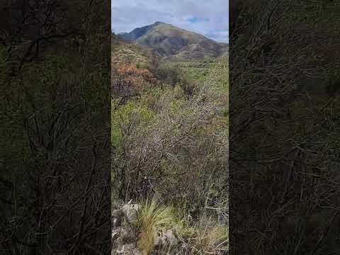 Buenas tardes desde capilla del monte ⛰️ en la pcia de #cordoba #sierrasdecordoba