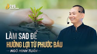 LÀM SAO ĐỂ HƯỞNG LỢI TỪ PHƯỚC BÁU | Ngô Minh Tuấn | Học viện CEO Việt Nam Global