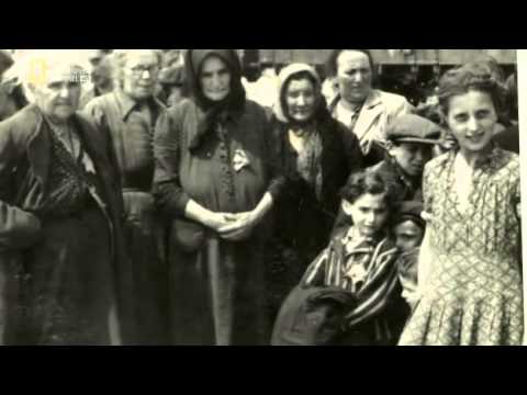 The Auschwitz Albums
