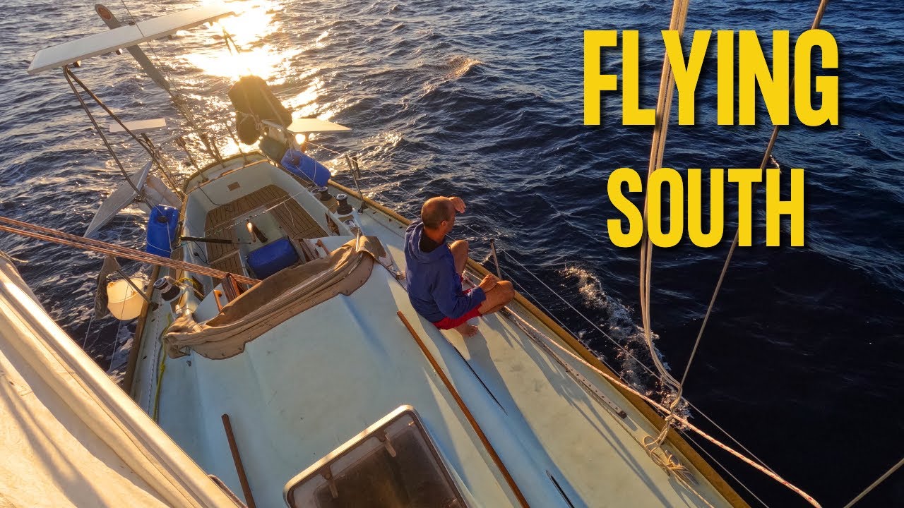 Racing Towards Tauranga & Unexpected Guests / Sailing Around NZ  Pt 8  Ep 152
