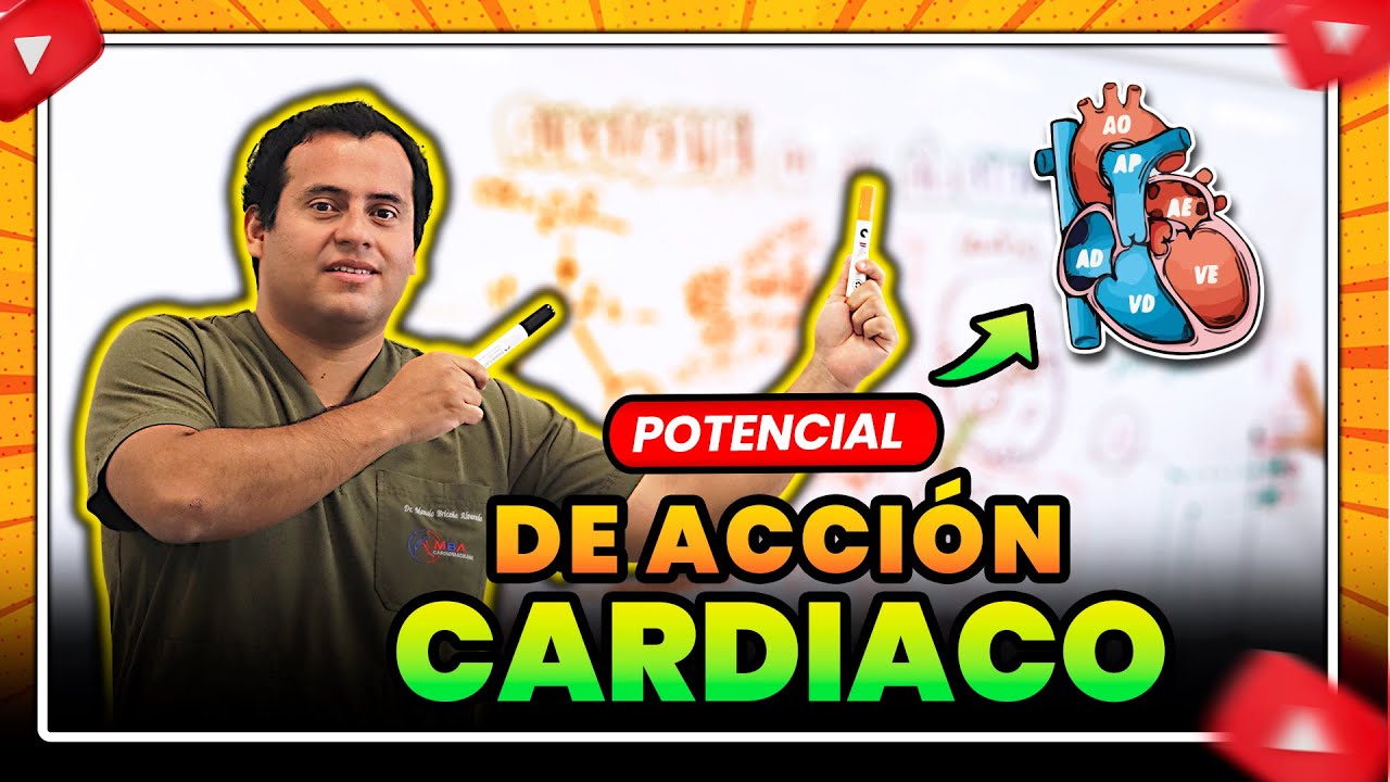 POTENCIAL DE ACCIÓN CARDICA  -  EXPLICACIÓN PASO A PASO