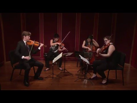 Argus Quartet: Haydn, String Quartet in D Major, Op. 76, No. 5, 1st Movement