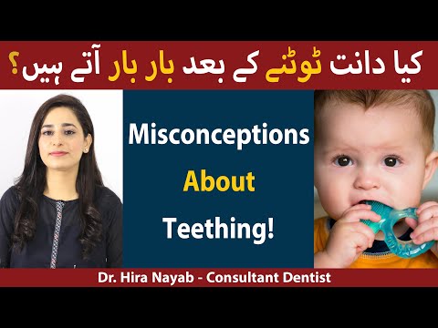 Everything You Should Know About Teether - Totny Ke Baad Dant Kitni Bar Atay hain?