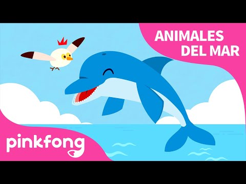 Delfín | El Delfín Cantante🎵 | Animales del Mar | Pinkfong Canciones Infantiles