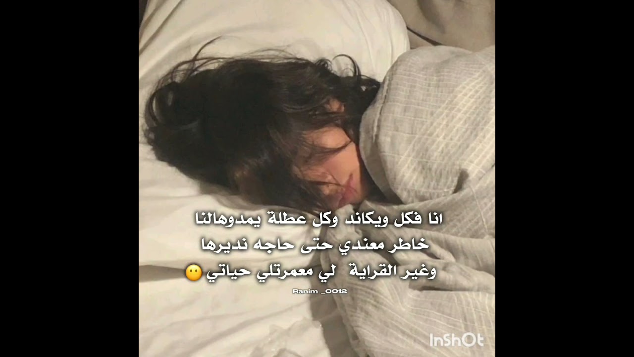 مشي تاني تحسبوني نبغي القراية نكرهاااااع غير معمرتلي حياتي وصاي!!🫪 #تفاعلو #اكسبلور #blackpink#جيسو