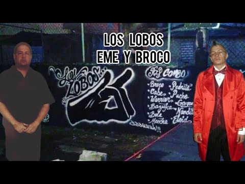 “EME EL MAGO Y BROCO” LOS LOBOS 🐺 DE LA BARRIADA LAS MONJAS EN HATO REY