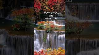 Download lagu サン＝サーンス：白鳥のオマージュ曲 mp3