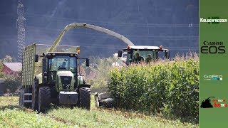 Maisernte 2017|Frauenpower|Claas|Fendt|MF|LAT|Florian Ganahl