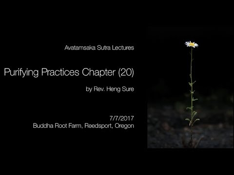 Avatamsaka Sutra Purifying Practices Chapter (20) by Rev Heng Sure