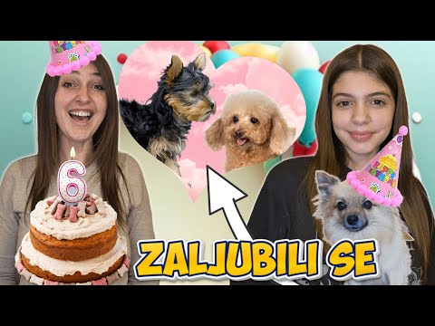 PROSLAVILI SMO MILIN 6-ti RODJENDAN