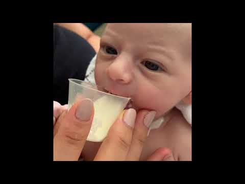 Newborn Cup Feeding