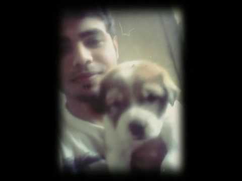 Amreli   Bakul and little jemmy