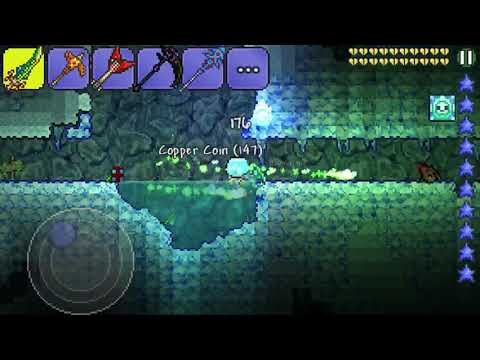 My Nymph Farm Setup!