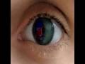 boole Blow Up The World 