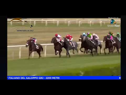 139° Derby Italiano del Galoppo - vince il tedesco Ardakan