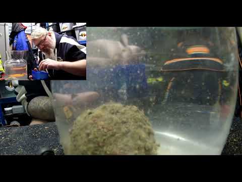 TANK TESTING GROUNDBAIT MIXED THE NIGHT BEFORE