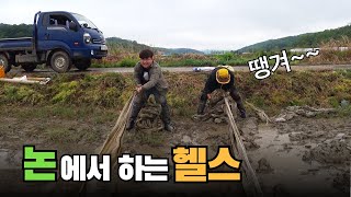 모내기 준비 - 논 육묘장 하우스 철거 (논에서 하는 헬스)