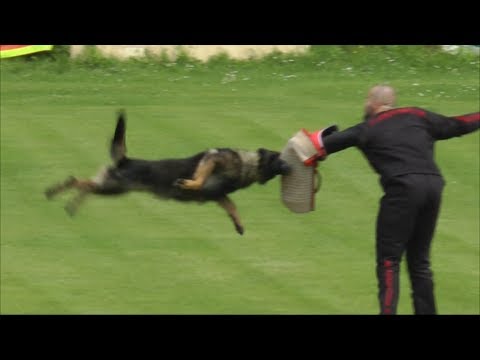 Long attack - Urri z Kurimskeho have