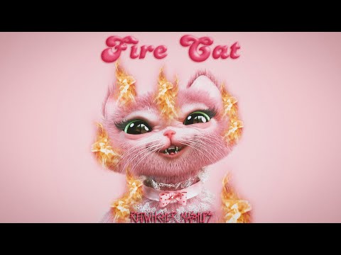 ✧ Fire Drill x Copy Cat (Mashup) - Melanie Martinez 2x & Tierra Whack ✧
