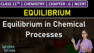 Class 11th Chemistry | Equilibrium in Chemical Processes | Chapter 6: Equilibrium | NCERT
