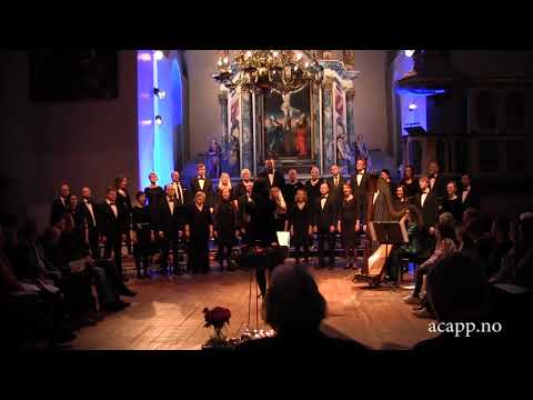 A Cappellissimo & Ruth Potter - Beauty (Arnesen)